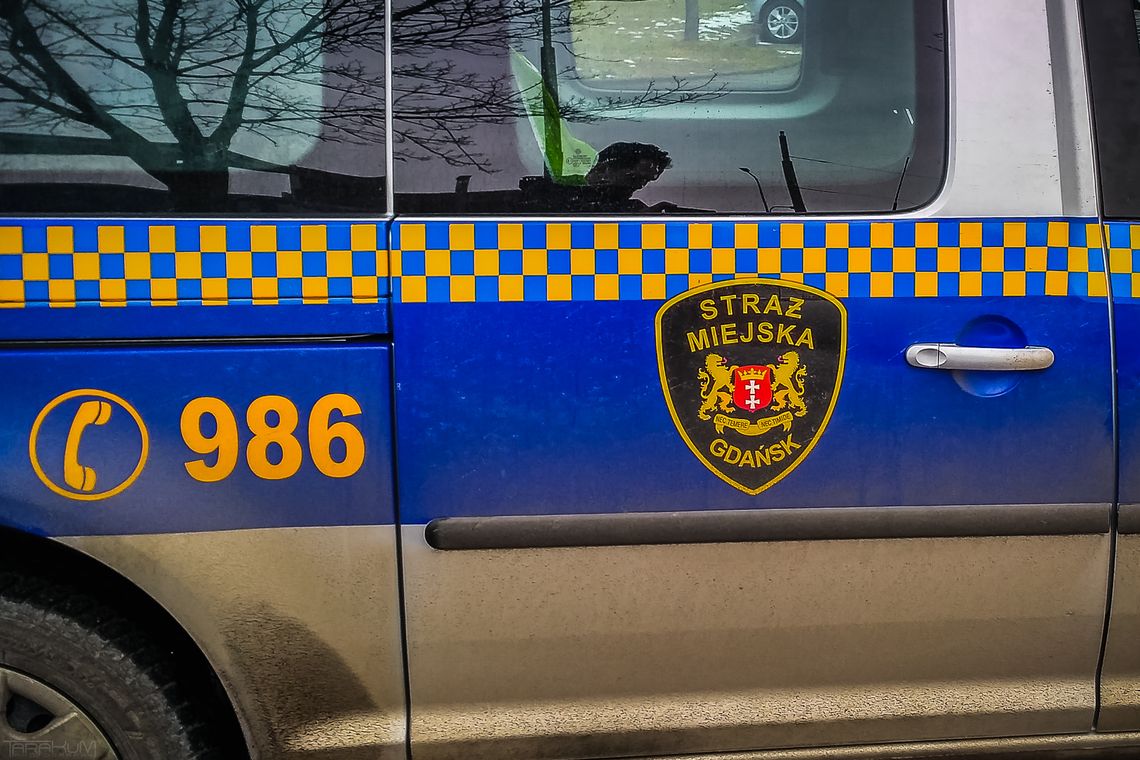 Operatorzy monitoringu miejskiego w Gdańsku wypatrzyli sprawcę brutalnego rozboju Straż Miejska w Gdańsku, zdjęcie ilustracyjne