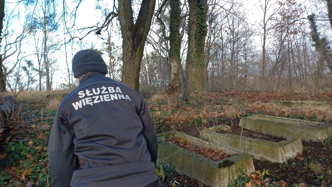 Osadzeni z Kwidzyna porządkowali cmentarze mennonickie na Powiślu