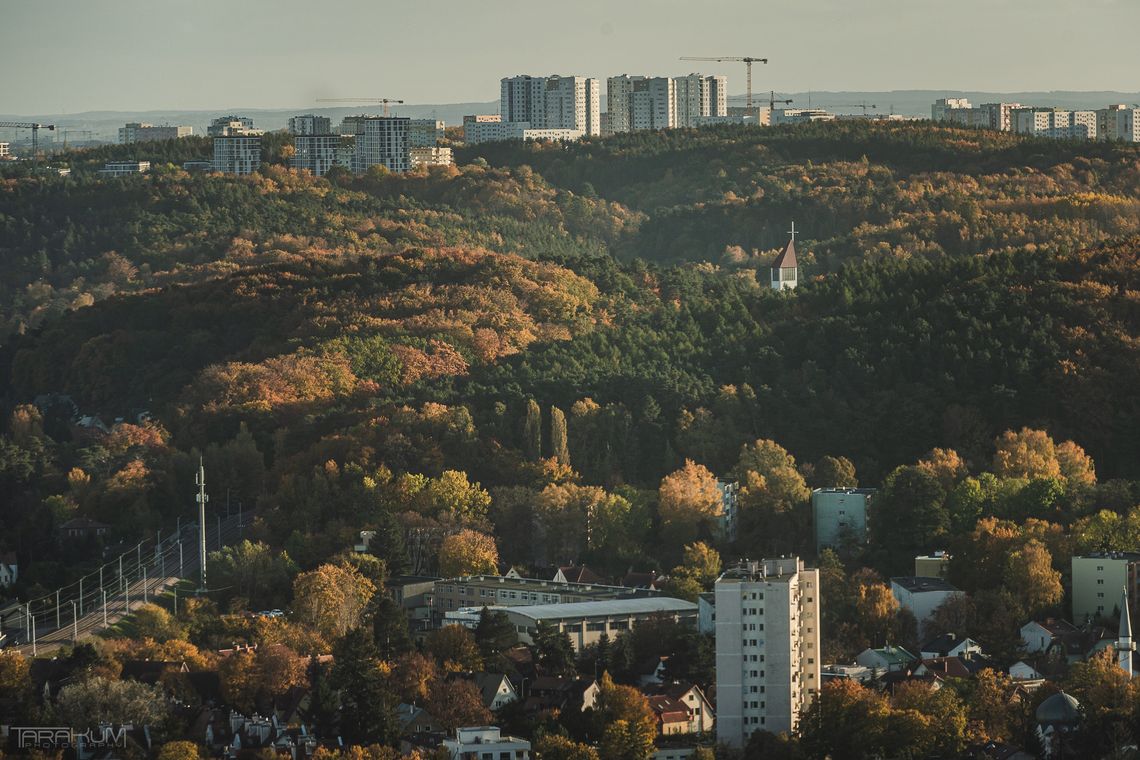Ostatnia chwila na wskazanie lasów społecznych wokół Trójmiasta. Można jeszcze wypełnić geoankietę Ostatnia chwila na wskazanie lasów społecznych wokół Trójmiasta. Można jeszcze wypełnić geoankietę