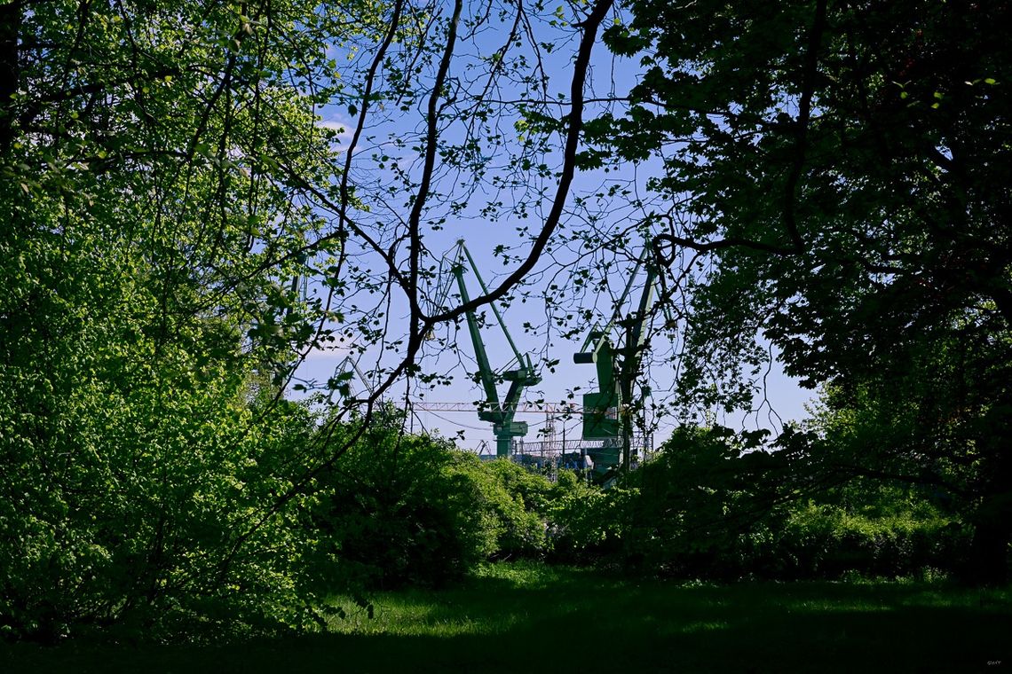 Park im. Steffensów w Gdańsku wpisany do rejestru zabytków