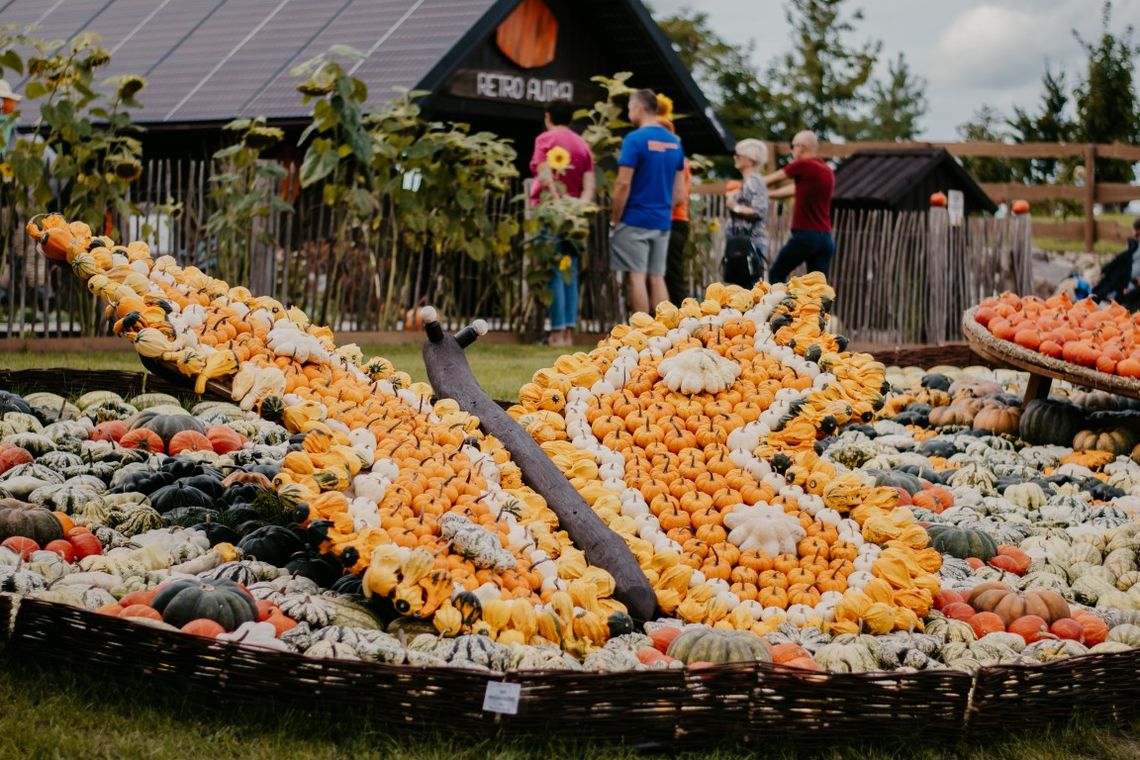 Park rozrywki w Godziszewie zaprasza na największe dyniowisko na Pomorzu Park rozrywki w Godziszewie zaprasza na największe dyniowisko na Pomorzu