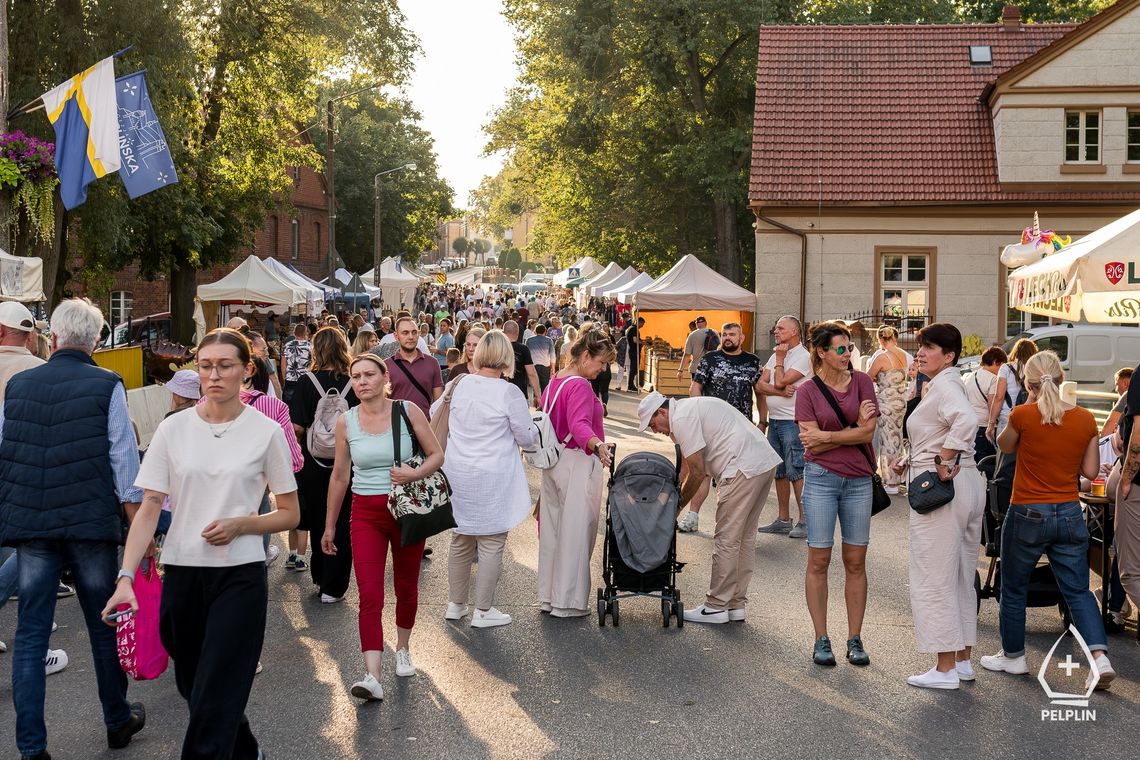 W Pelplinie tłumy, a mogą być jeszcze większe. Trwa XXIV Jarmark Cysterski [ZDJĘCIA]