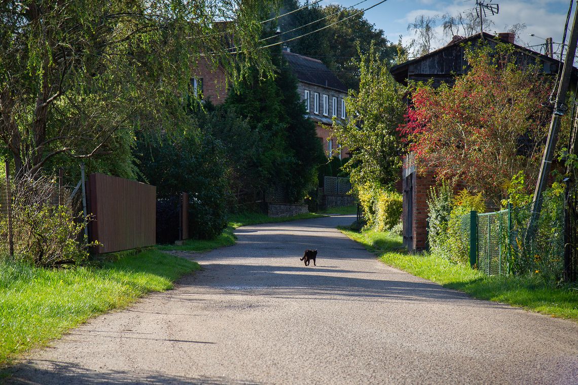 Piękna Wieś Pomorska 2026. Która wieś, zagroda okażą się najpiękniejsze? Piękna Wieś Pomorska 2026. Która wieś, zagroda okażą się najpiękniejsze?