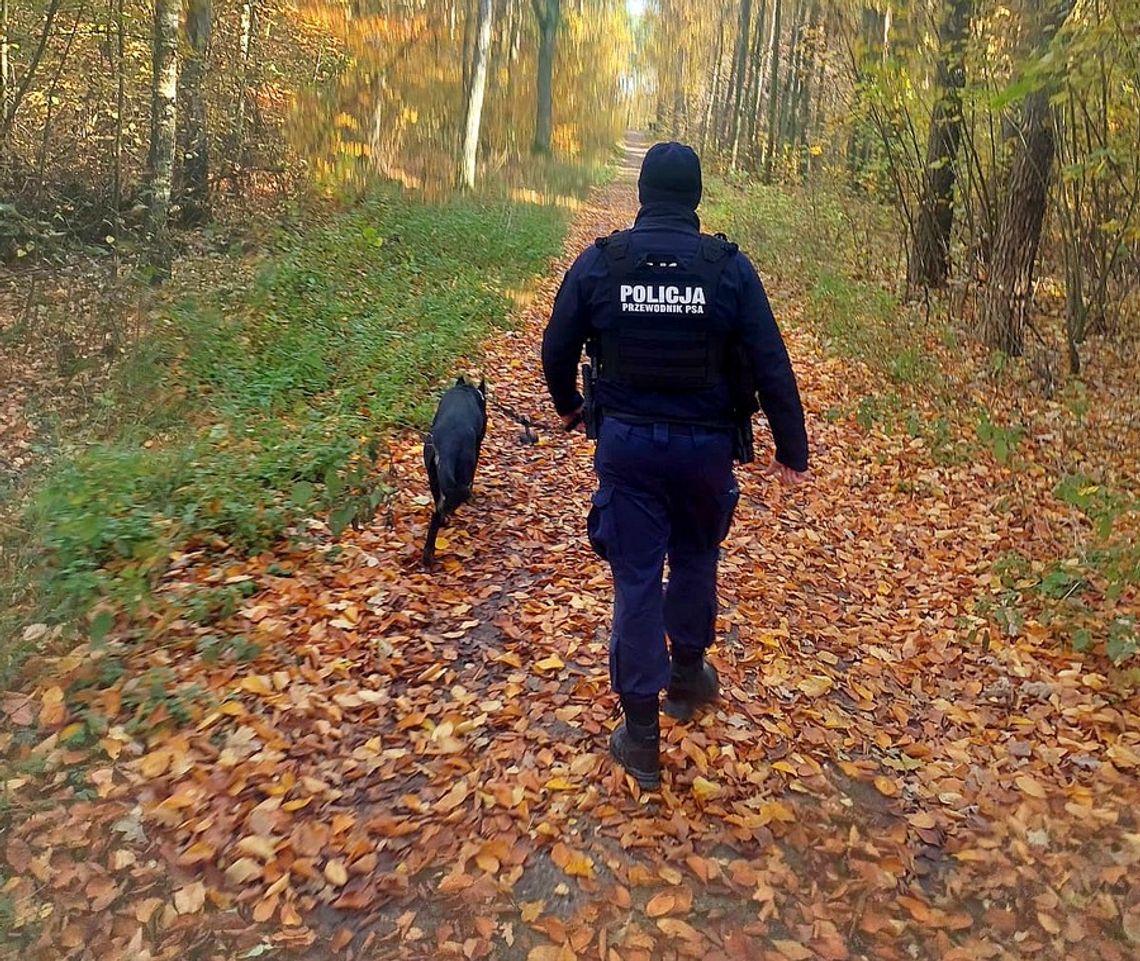 Pies policyjny odnalazł w lesie zaginioną kobietę