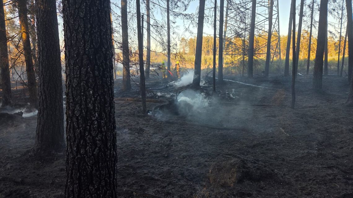Płonie las w powiecie bytowskim. Pożar strawił już około 7 ha lasu