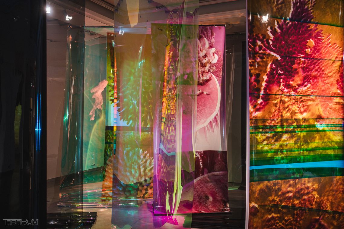 W głąb oceanicznych mroków i mitów. Wyjątkowa wystawa w Sopocie