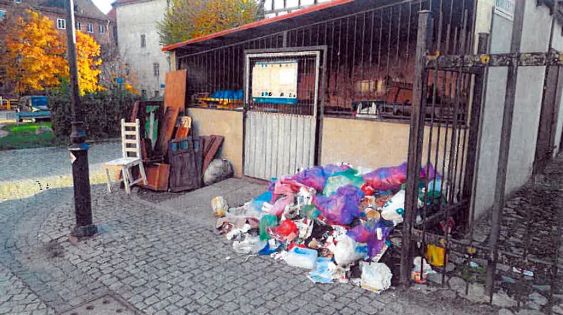 Lębork: Podrzucasz śmieci pod wiatę? Licz się ze... zdjęciem z fotopułapki