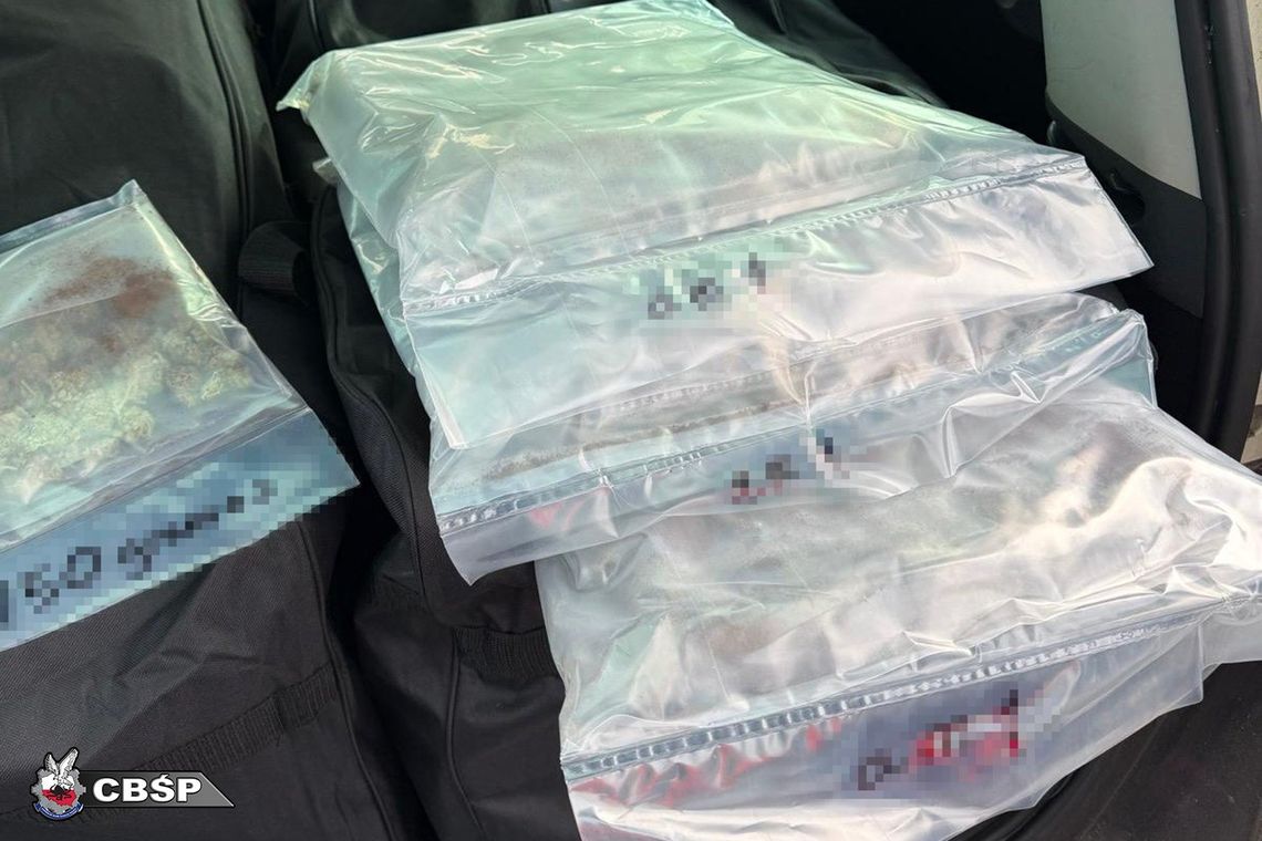 Pół kilograma narkotyków w domu mieszkańca Lęborka. Policja ustala, czy nimi handlował