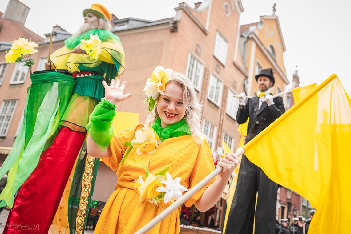 Wielki finał Pól Nadziei już w niedzielę! Żonkilowa Parada przejdzie ulicami Gdańska