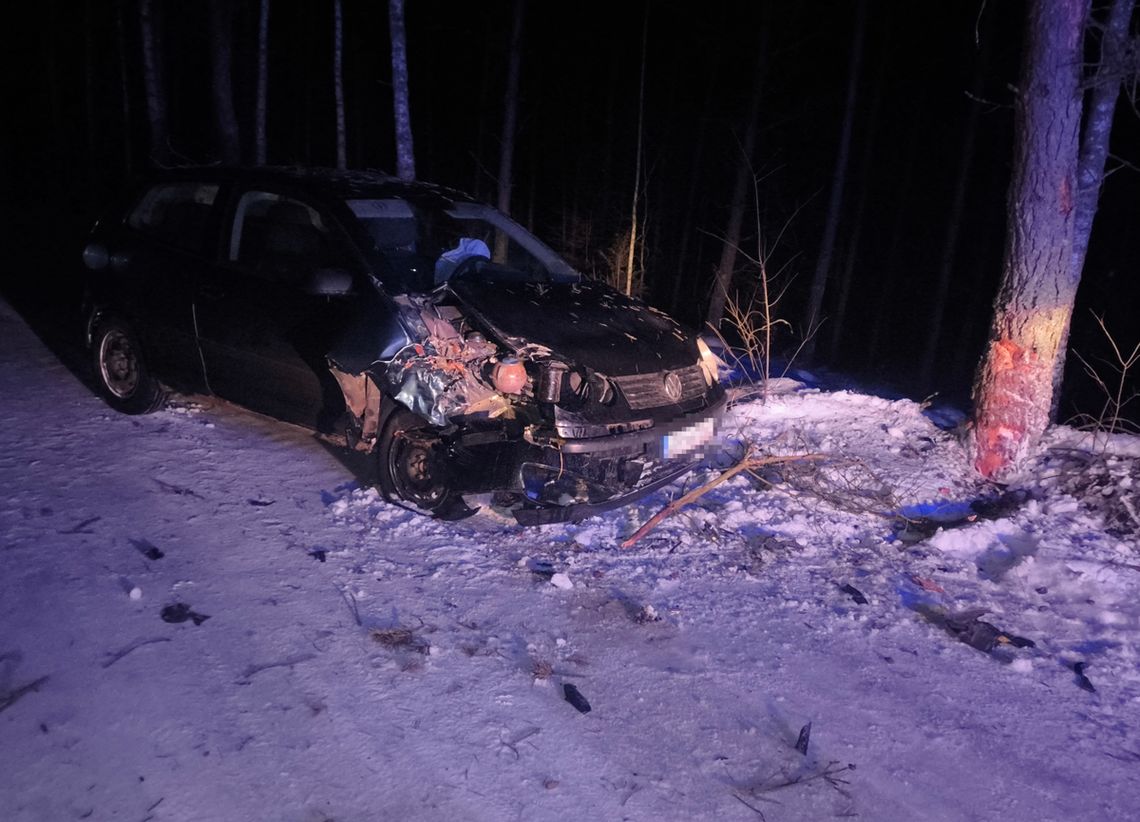 Bytów: Policyjny pościg zakończony na drzewie. Pijany, poszukiwany i z narkotykami