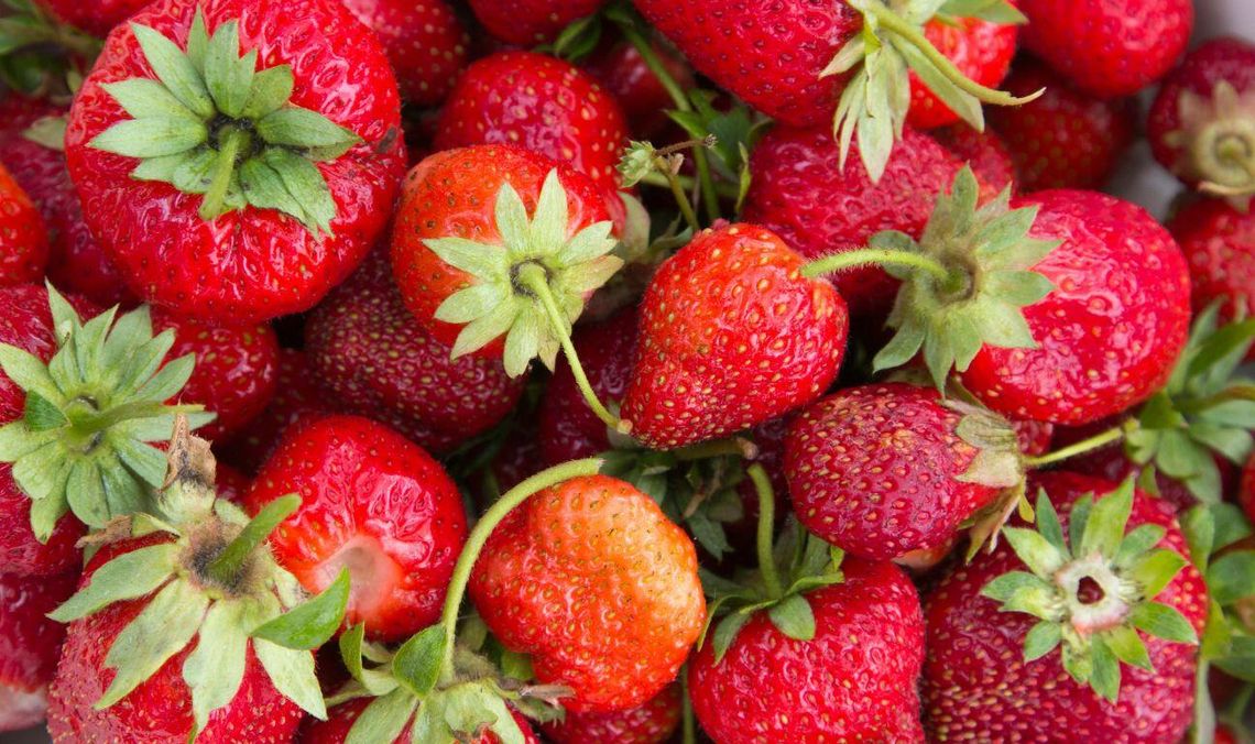truskawki, zdjęcie ilustracyjne