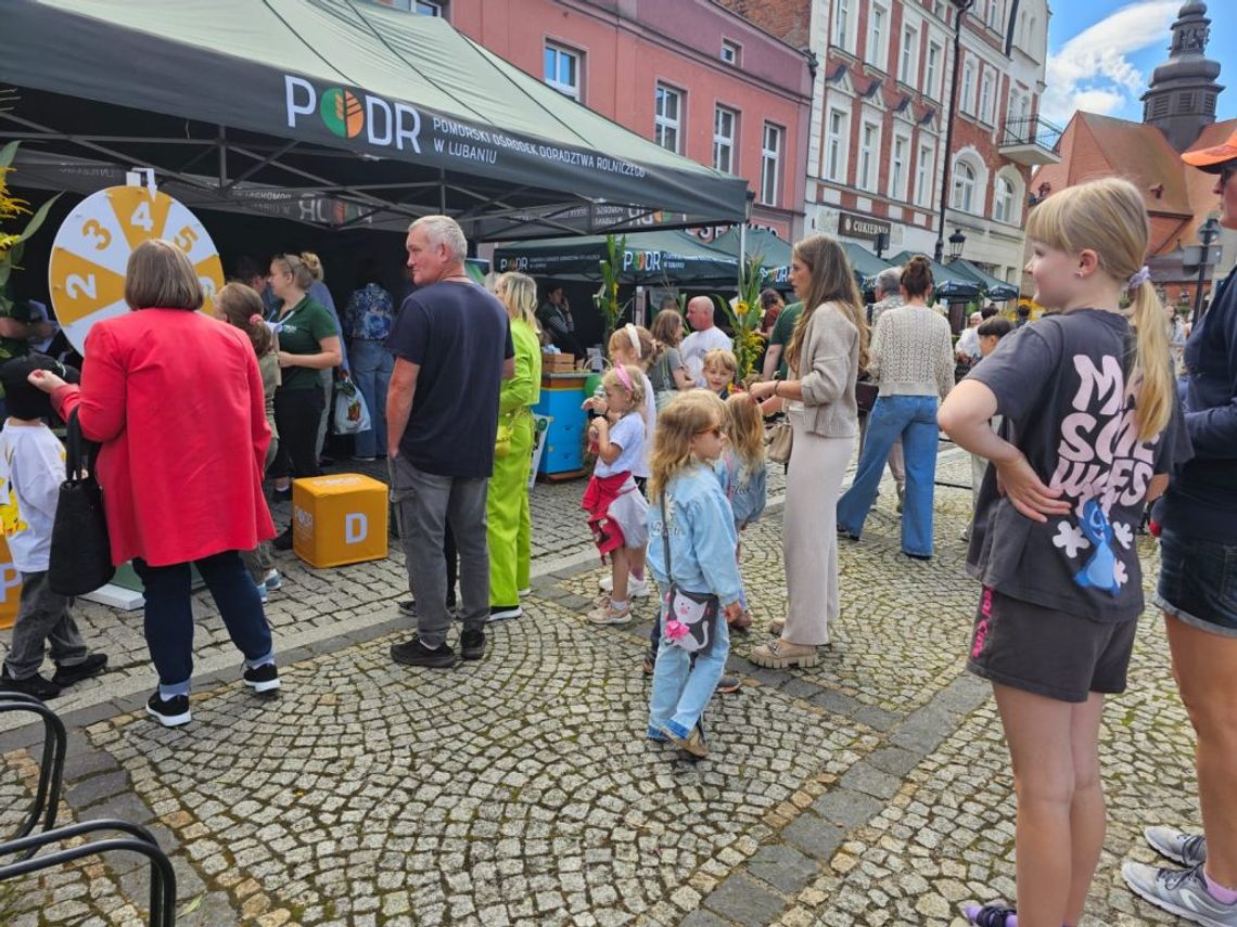 Pomorski EkoFestiwal w Kościerzynie. Wielkie święto zdrowia i ekologii na Rynku! Pomorski EkoFestiwal, Kościerzyna
