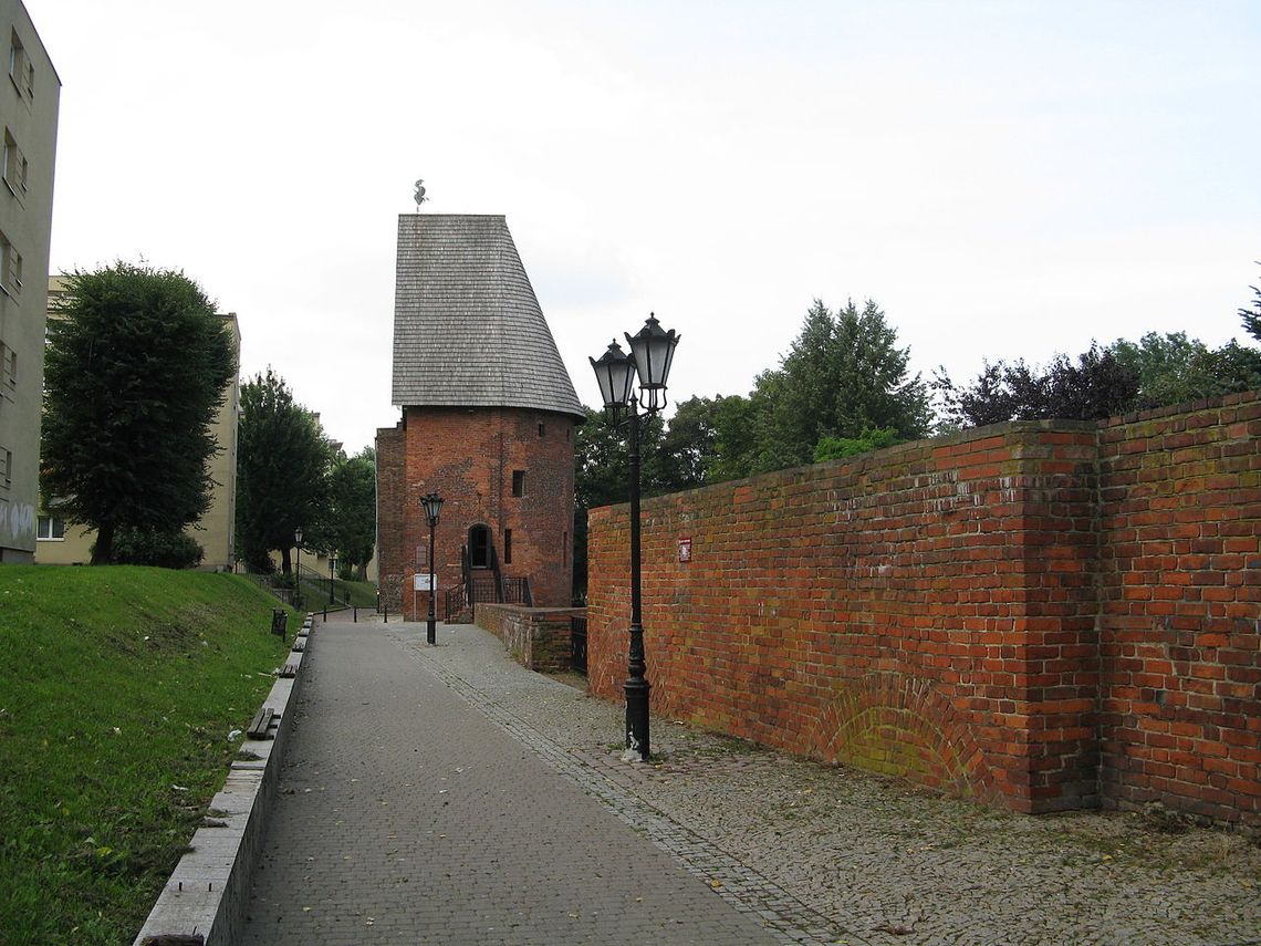 Pomorskie czarownice. Płonące na stosach, tonące w wodzie, zabijane przez kata