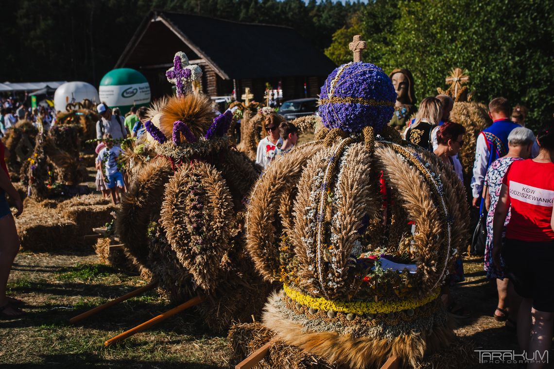 Pomorskie Święto Plonów. Do wygrania 5 tys. złotych w konkursie na wieniec dożynkowy Pomorskie Święto Plonów. Do wygrania 5 tys. złotych w konkursie na wieniec dożynkowy