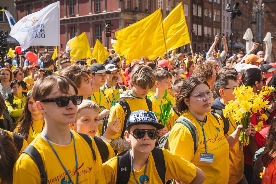 Pomorze zakwitło żonkilami i nadzieją