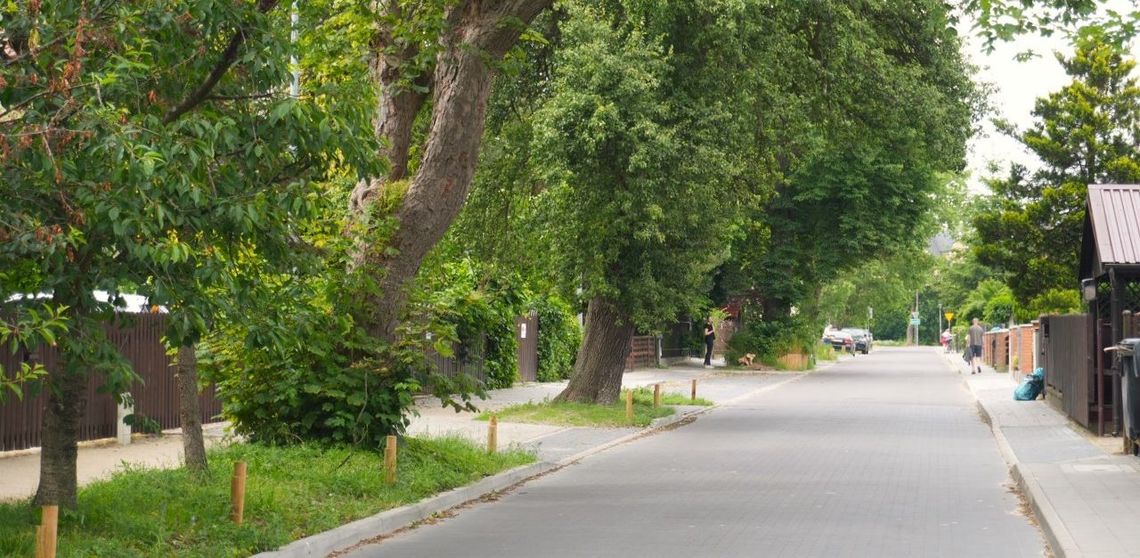 Ponad 140 tys. zł kary dla Gdańska za zniszczenie drzew na Osowej