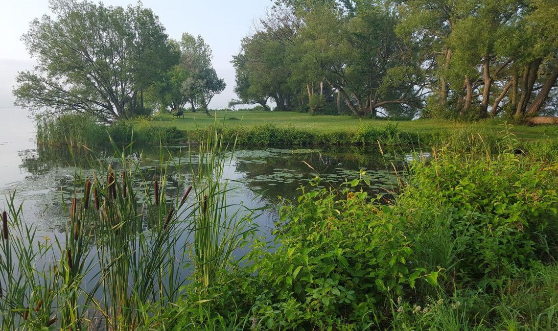 Poseł Müller protestuje przeciwko nowym rezerwatom w powiecie bytowskim. RDOŚ: Nie ma takich planów rezerwat, zdjęcie ilustracyjne