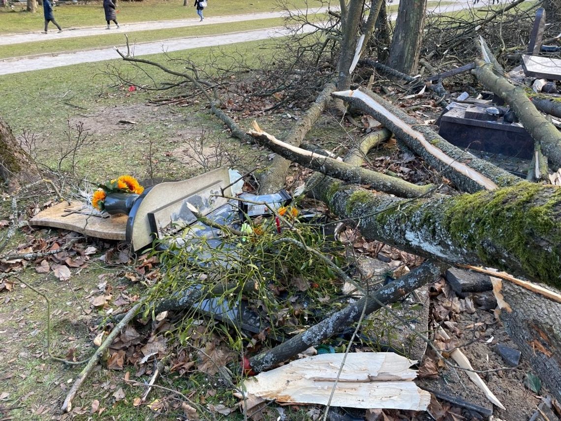 Powalone drzewa, zniszczone nagrobki. Orkan szalał nad Pomorzem