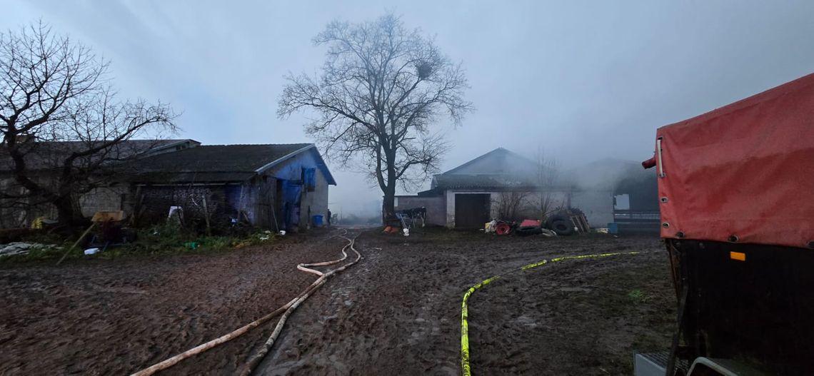 Pożar chlewni w Karsinie. Spłonęła trzoda chlewna Pożar chlewni w Karsinie. Spłonęła trzoda chlewna