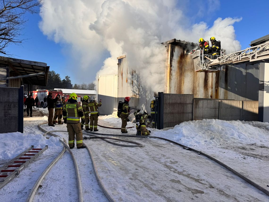 pożar suszarni w zakładzie drzewnym w Karsinie
