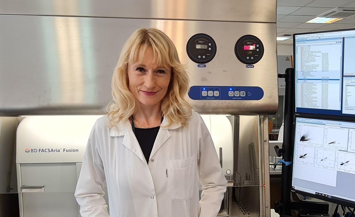 Przełomowe badania nad szczepionkami na nowotwory w Gdańsku! Medycyna jest w stanie uporać się z rakiem Przełomowe badania nad szczepionkami na nowotwory w Gdańsku! Medycyna jest w stanie uporać się z rakiem