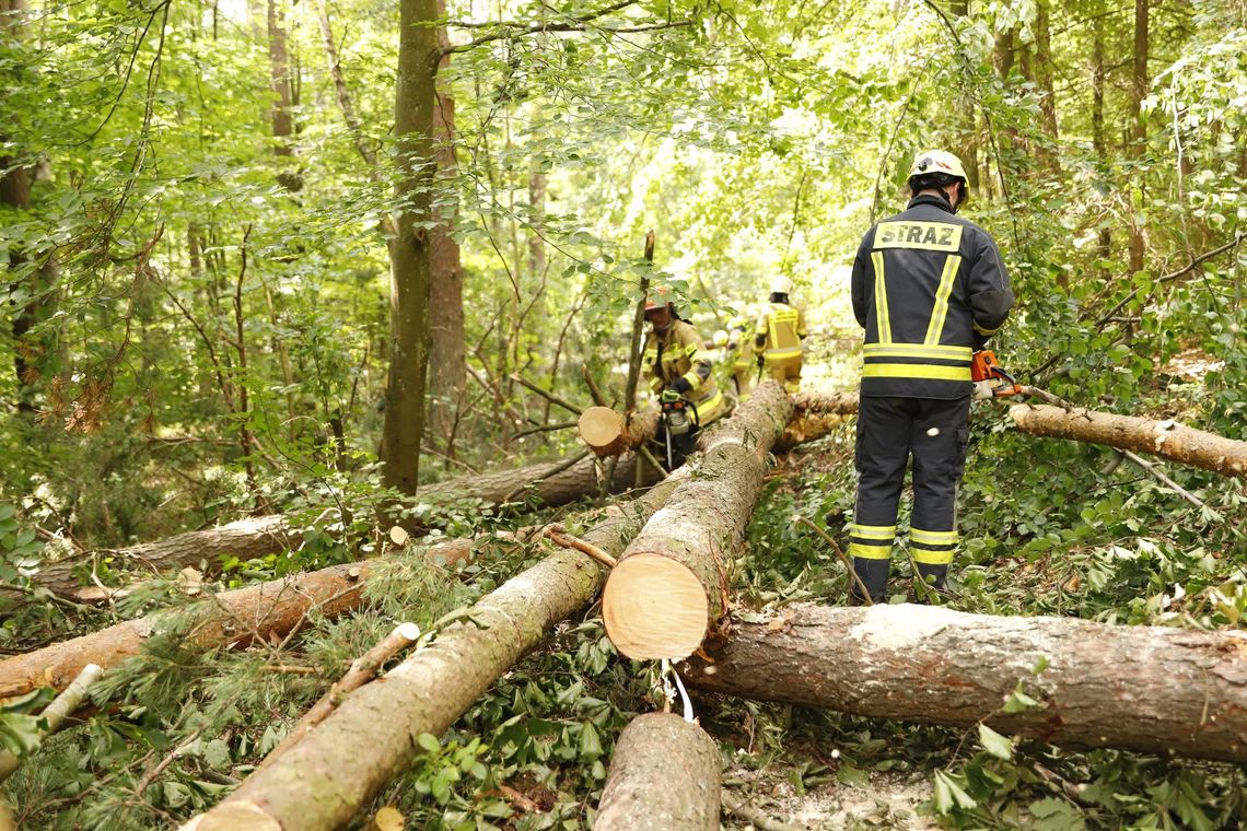 Przez Pomorze przeszły intensywne opady i burze. Podtopienia posesji, powalone drzewa