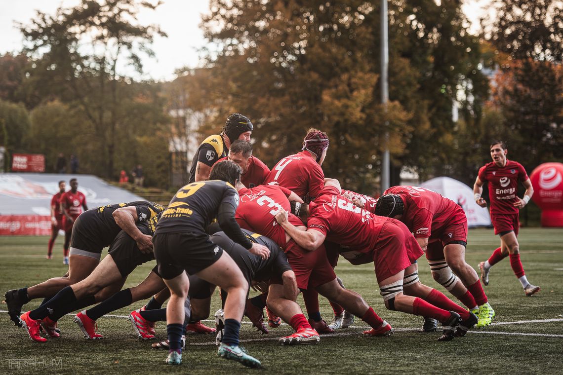 Przyjdź na derby i pomóż bezdomnym zwierzakom. Sportowe święto w Gdyni Przyjdź na derby i pomóż bezdomnym zwierzakom. Sportowe święto w Gdyni
