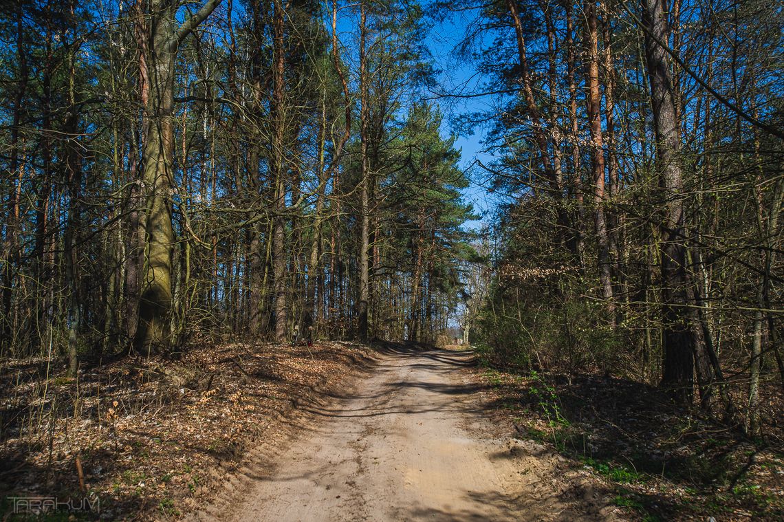 PSL i Polska 2050 zablokują nowe rezerwaty? Petycja do marszałka Sejmu