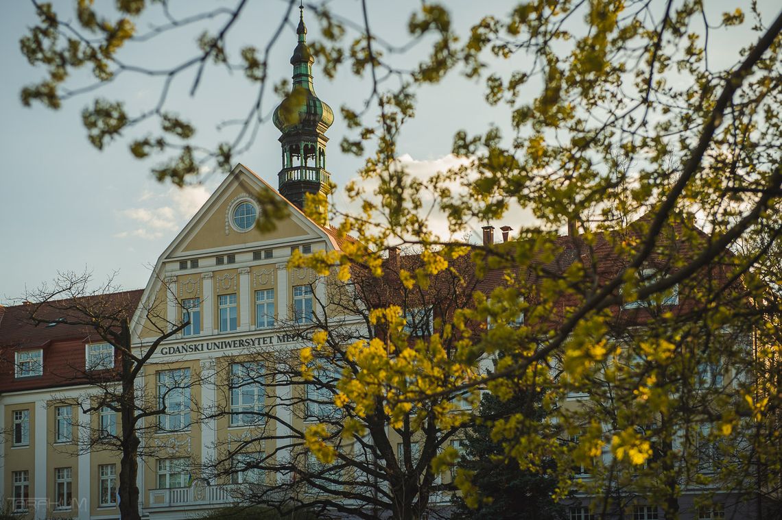 Studenci psychologii zdrowia stracą prawo do zawodu? Rządowy projekt budzi kontrowersje