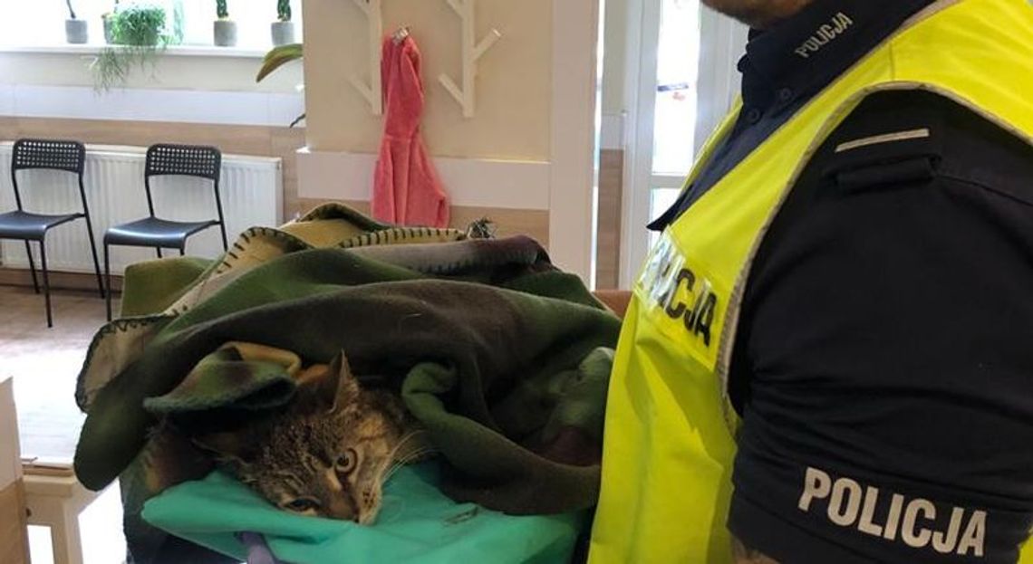 Ratują życie i zdrowie, ale i pomagają zwierzętom. Policjanci uratowali dwa koty