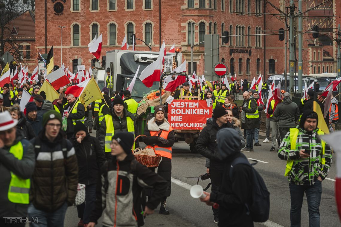 Rolnicy mają dość niskich cen. Szykują się listopadowe protesty w całej Polsce
