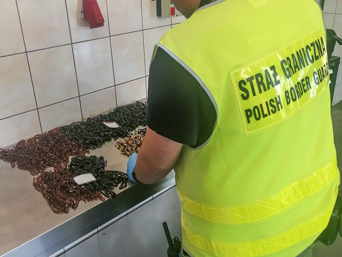 Rosjanie przemycali bursztyn do Polski. W bagażach mieli 230 naszyjników z jantaru