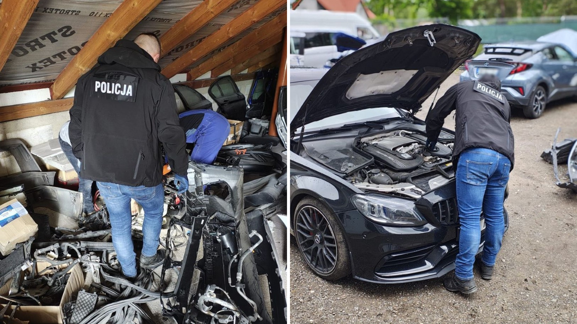 Rozbita szajka złodziei aut. W dziupli na Pomorzu policja znalazła luksusowe samochody