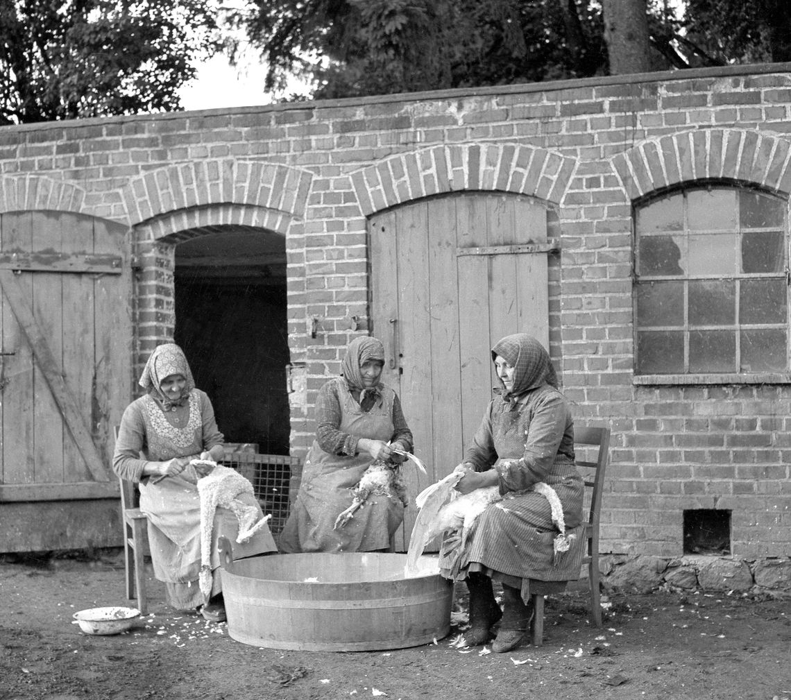 Rusz się z Trójmiasta, czyli imprezy kulturalne na Pomorzu. Gdzie pojechać? Rusz się z Trójmiasta, czyli imprezy kulturalne na Pomorzu. Gdzie pojechać?