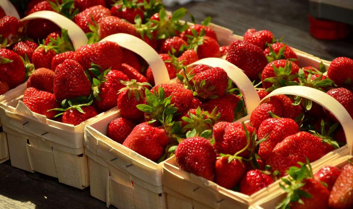 Rusza sezon na polskie truskawki! Kiedy będą najtańsze?