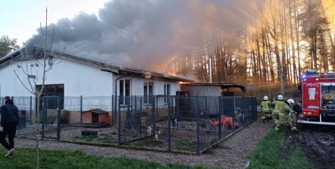 Schronisko w Obłężu potrzebuje pomocy. Pożar zniszczył budynek, trwa zbiórka Schronisko w Obłężu potrzebuje pomocy. Pożar zniszczył budynek, trwa zbiórka
