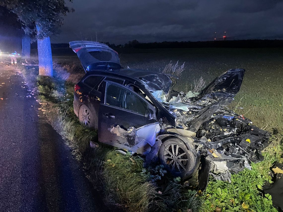 Silny wiatr na Pomorzu! Drzewo spadło na samochód, problemy na lotnisku Silny wiatr na Pomorzu! Drzewo spadło na samochód, problemy na lotnisku