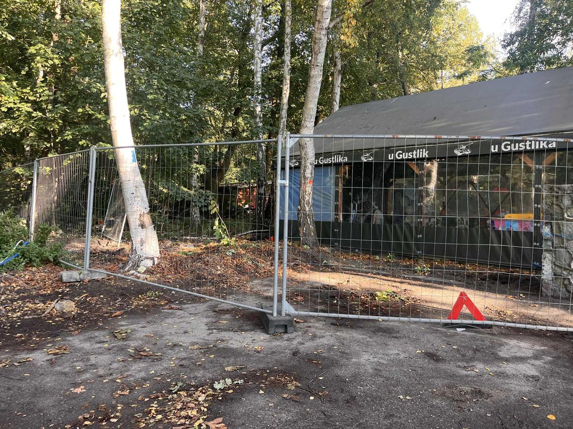 SKO wstrzymuje decyzje burmistrza Helu. Wycinka drzew i prace przy Hel Happiness wstrzymane