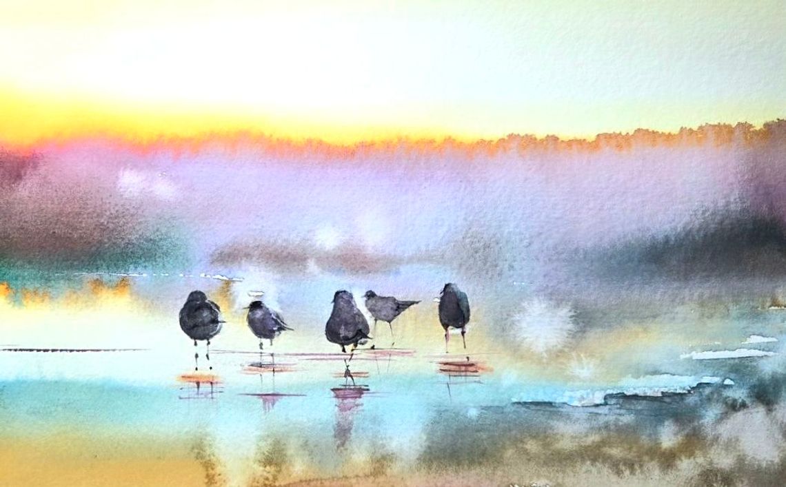 Od biologii do akwareli. „Skrzydlate portrety” w Oliwskim Ratuszu Kultury