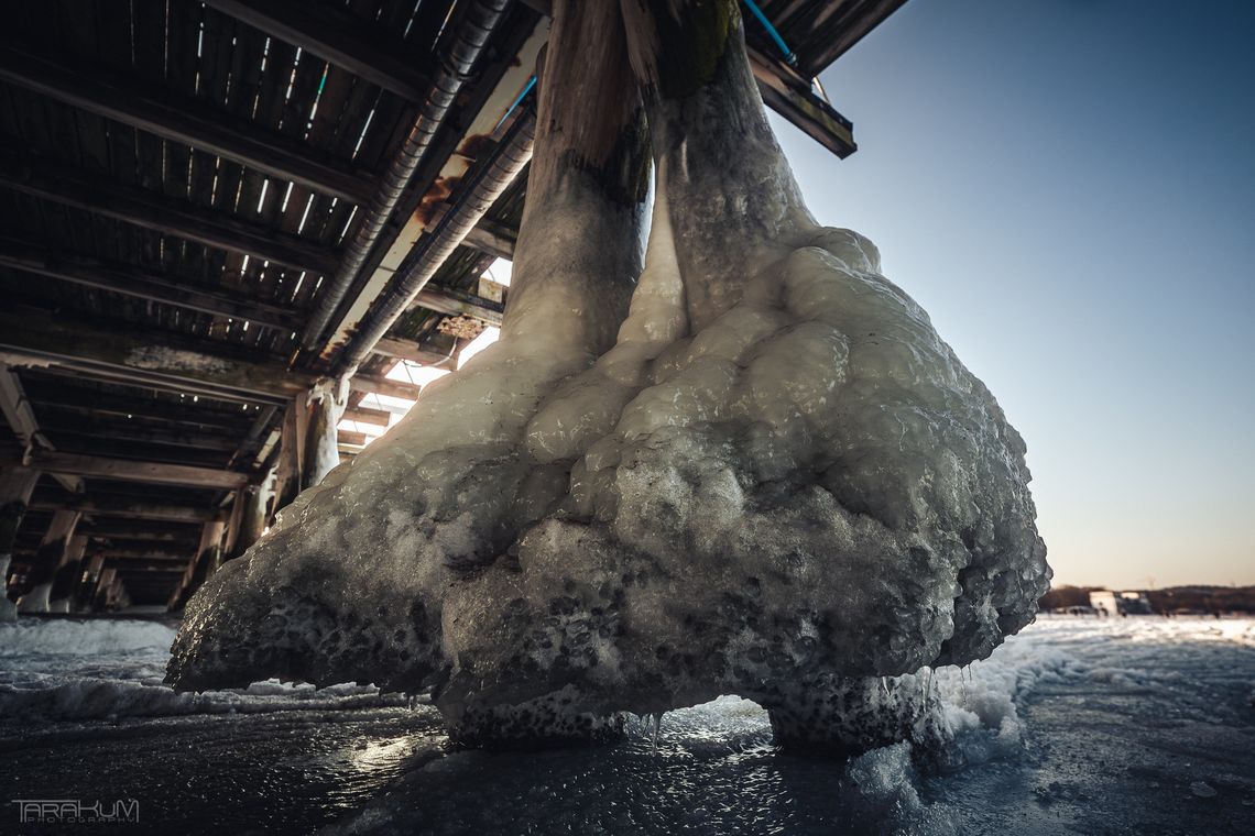 Skute lodem molo w Sopocie zachwyca. Lodowe rzeźby jak nie z tego świata
