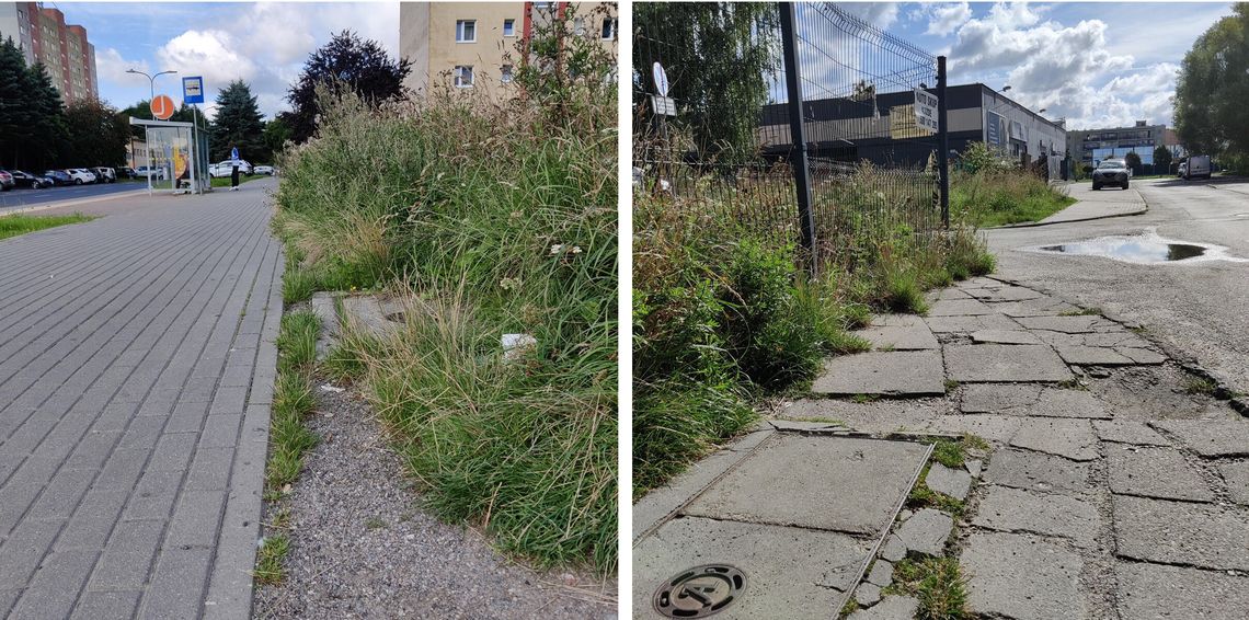 Słupsk: Nie dbasz o prywatną posesję? Możesz dostać mandat prywatne posesje w Słupsku