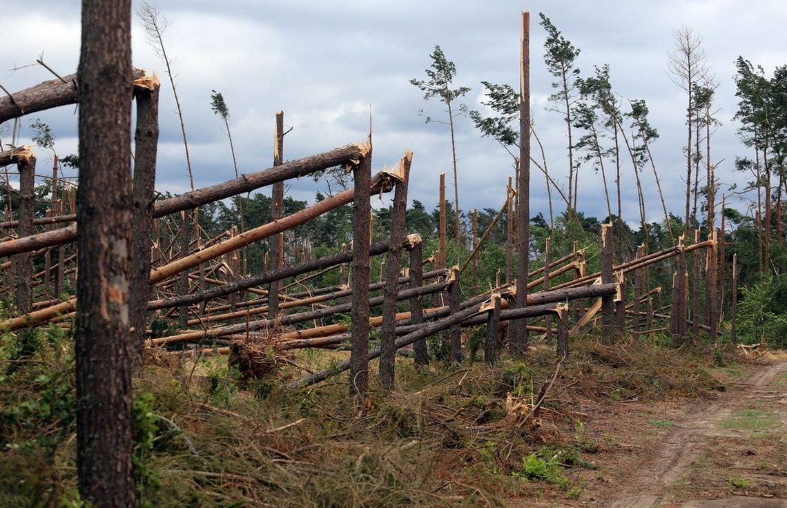 Tragedia w Suszku, nawałnica, śmierć harcerek