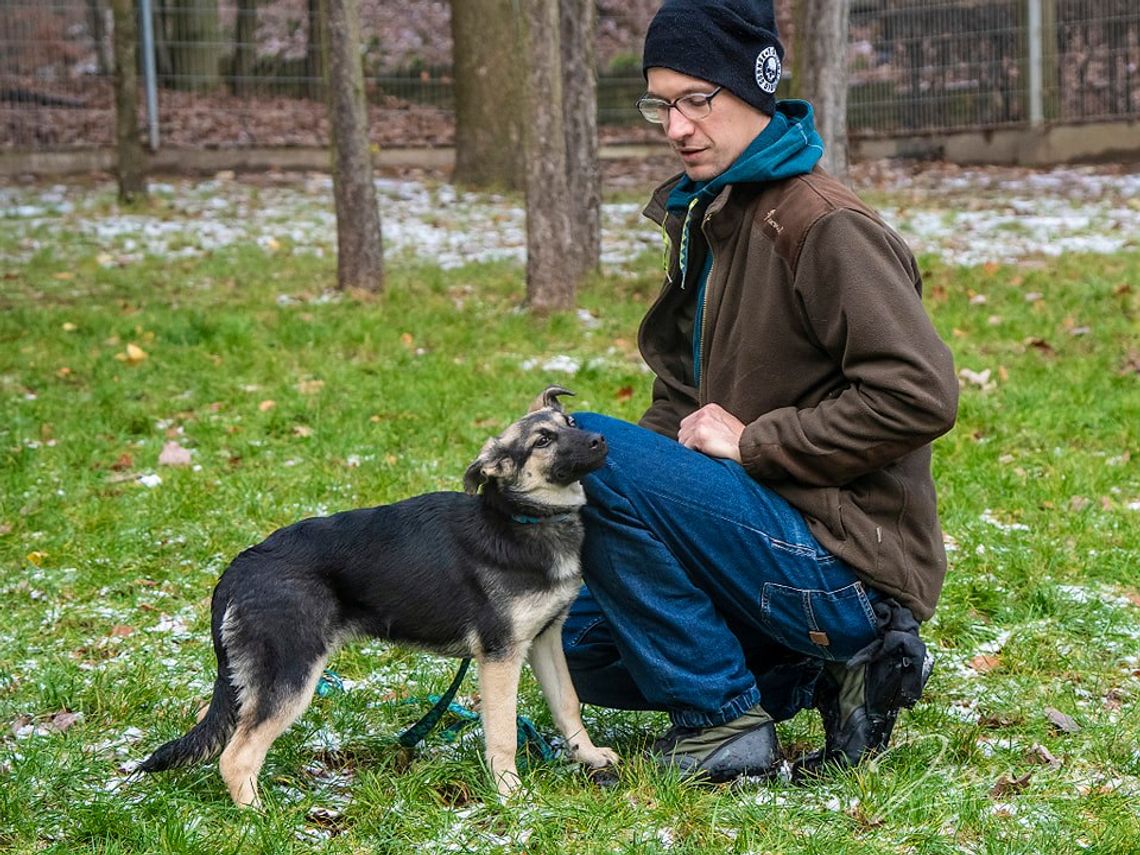 Sopotkowo zaprasza na niedzielny Świąteczny Dzień Otwarty