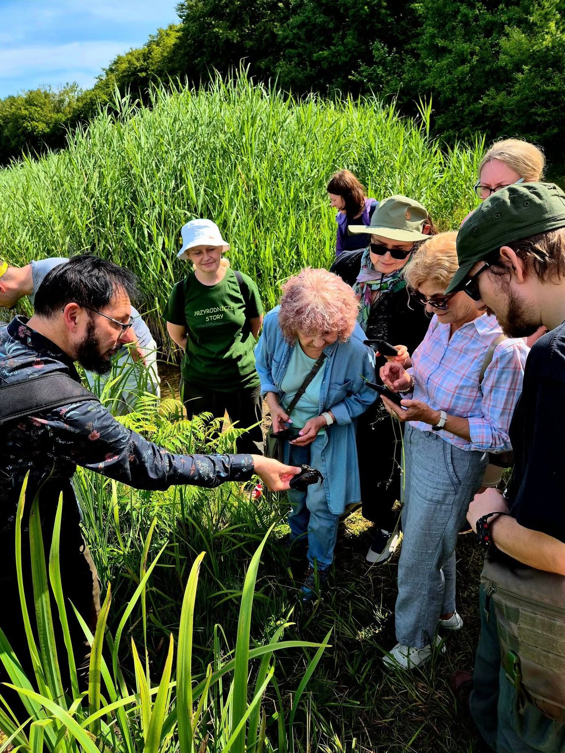 Spacery przyrodnicze w sierpniu spacer przyrodniczy, Gdańsk