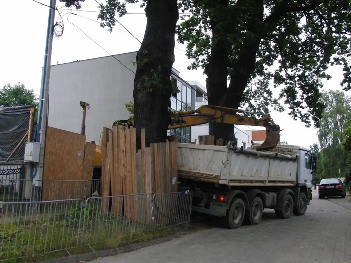 Spór o budowę przy dębach w Gdyni. Wojewoda uchyliła decyzję miasta