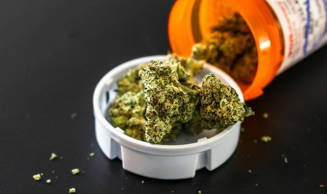 Sprzedaż marihuany medycznej znów w górę. Sypią się wysokie kary Sprzedaż marihuany medycznej znów w górę. Sypią się wysokie kary