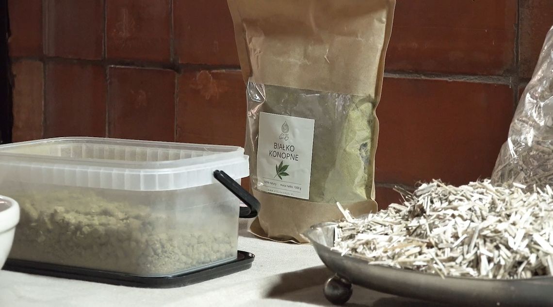 konopie, zdjęcie ilustracyjne