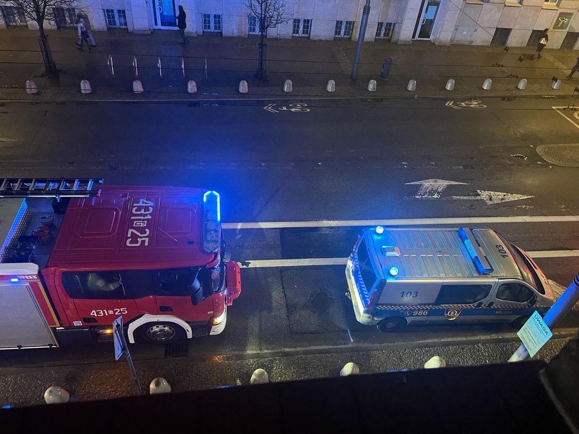 Strażacy i strażnicy miejscy ratowali w centrum Gdyni... jastrzębia