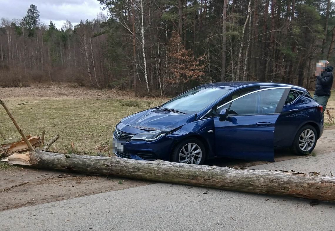 Pomorze walczy z wichurą! Ponad 160 interwencji strażaków