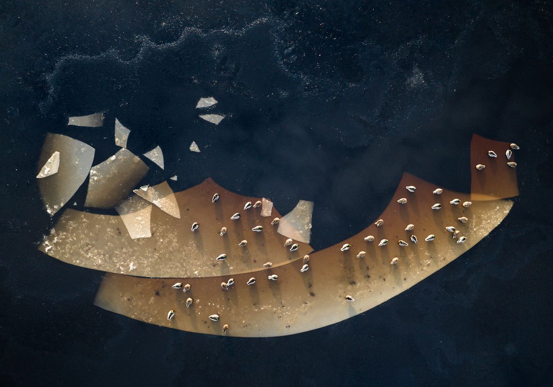 Sukces gdańszczanki. Zdjęcie z Kaszub z Grand Prix National Geographic Polska